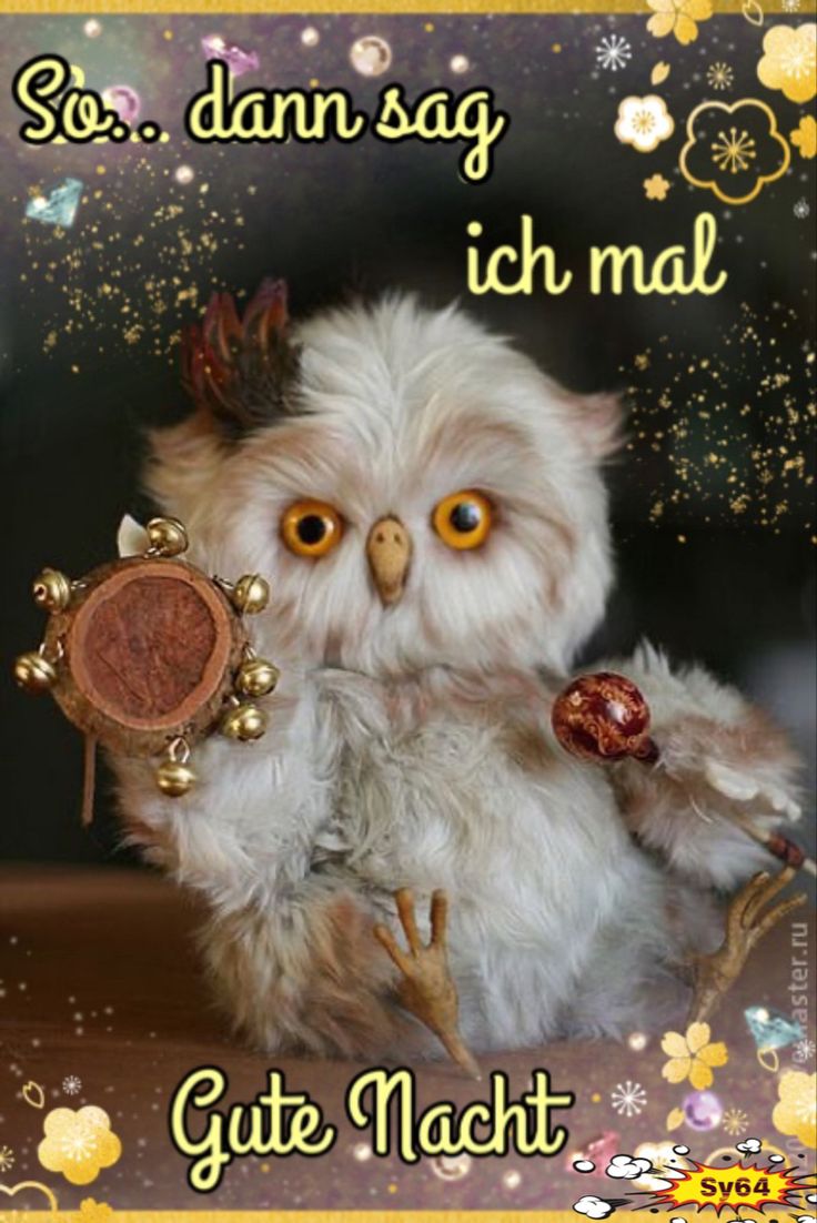Lustig Gute Nacht Bilder 37