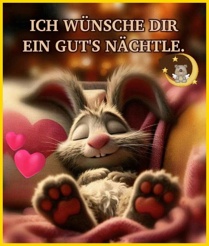 Lustig Gute Nacht Bilder 46