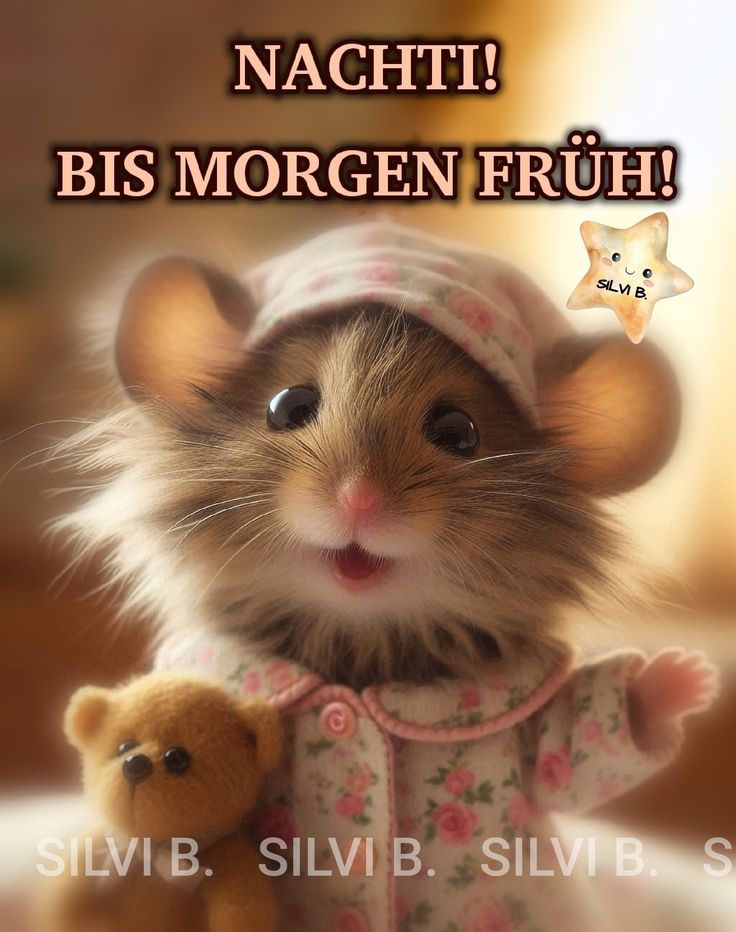 Lustig Gute Nacht Bilder 54