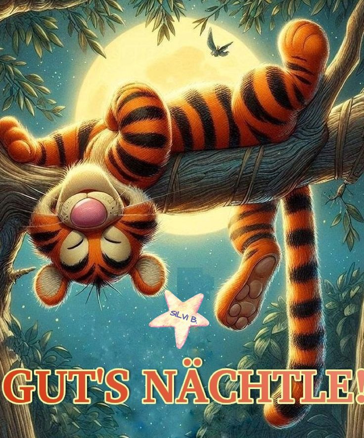 Lustig Gute Nacht Bilder 55