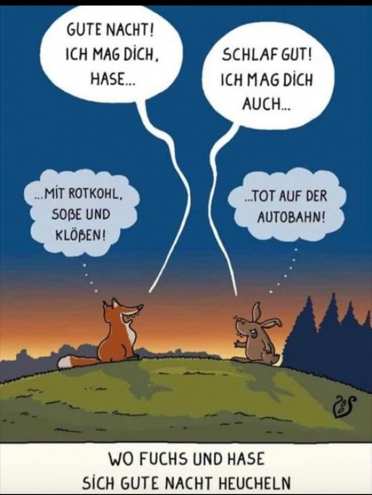 Lustig Gute Nacht Bilder 75