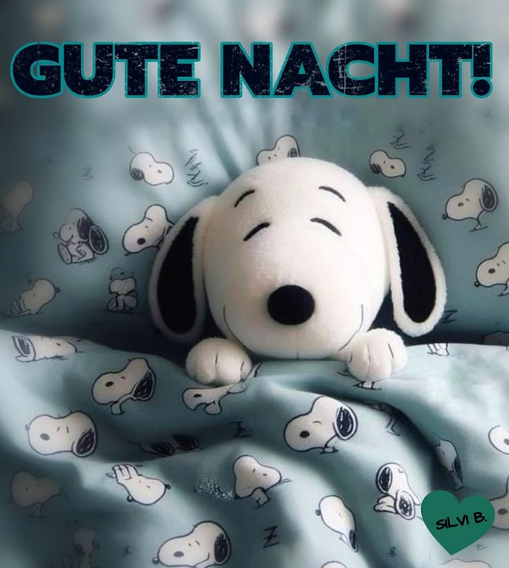 Lustig Gute Nacht Bilder 81
