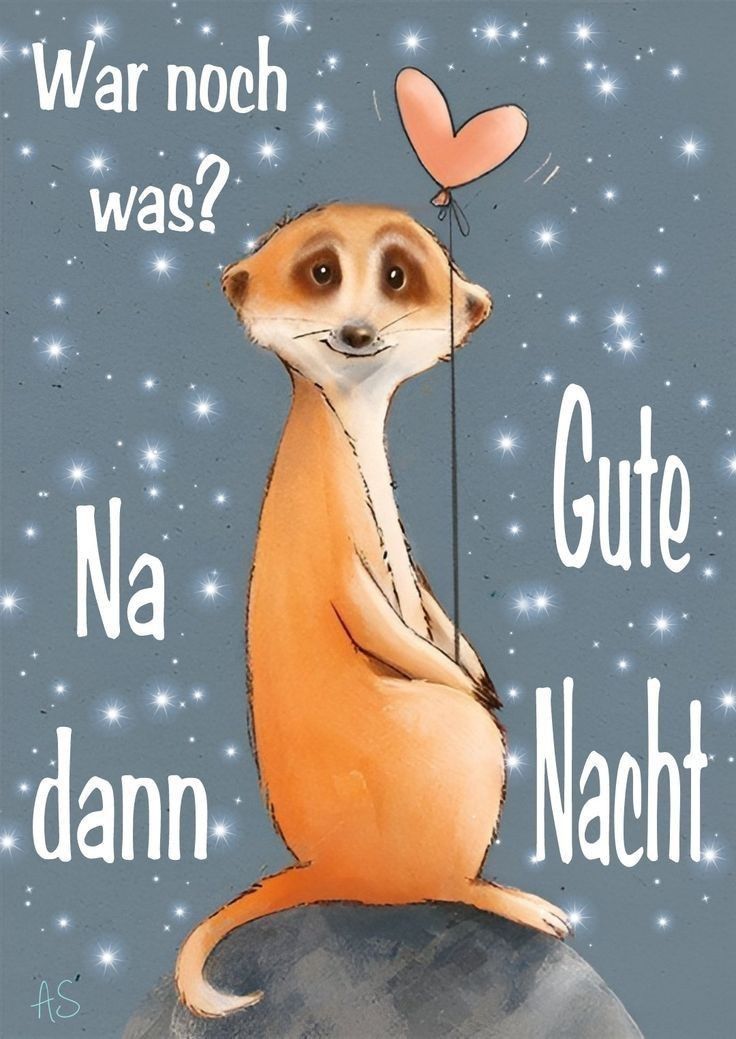 Lustig Gute Nacht Bilder 9