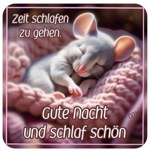 Lustig Gute Nacht Bilder 97