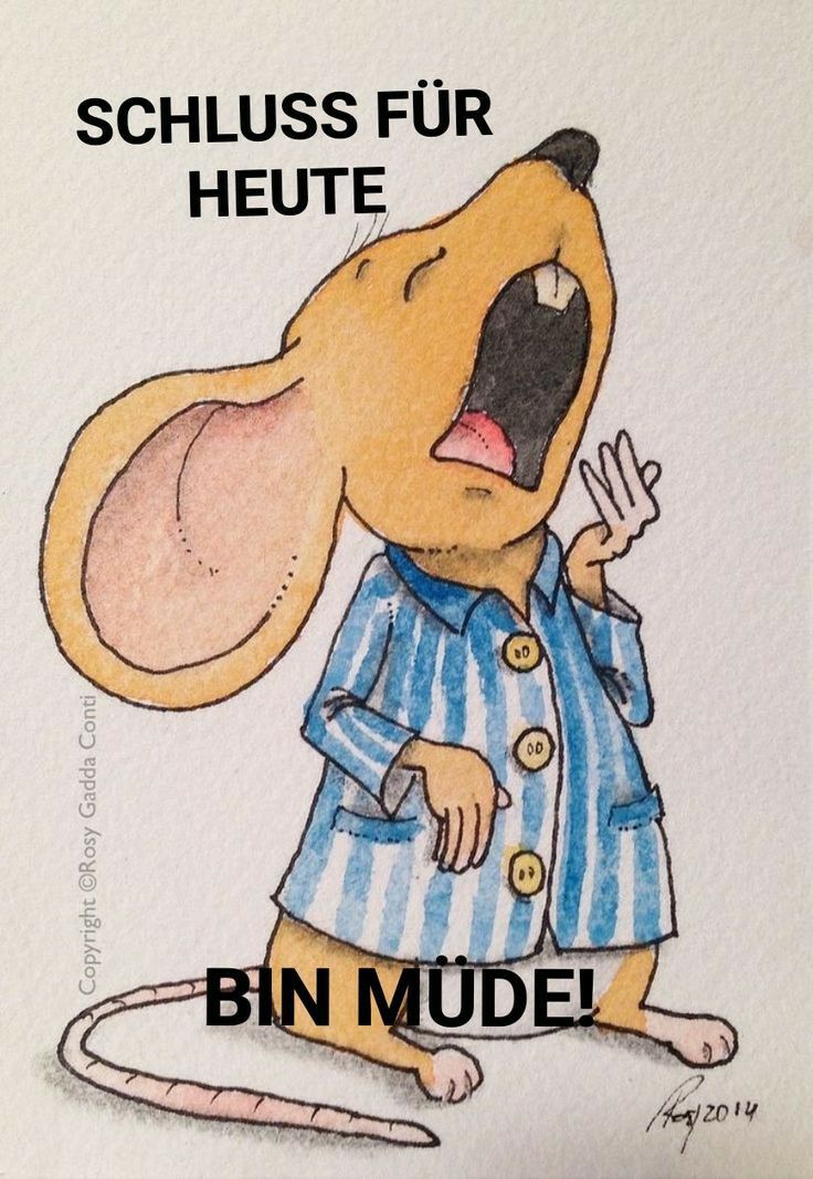 Lustige Gute Nacht Bilder 10