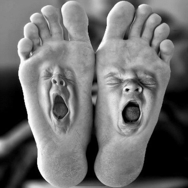 Lustige Gute Nacht Bilder 105