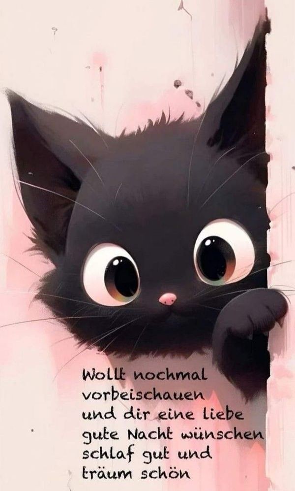 Lustige Gute Nacht Bilder 11
