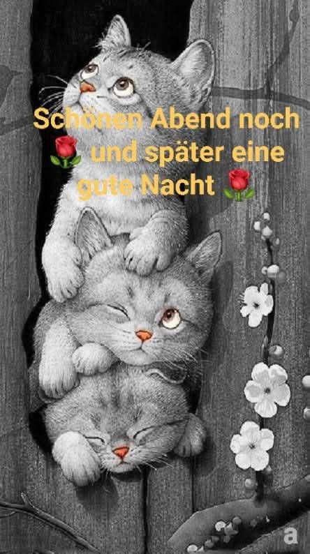 Lustige Gute Nacht Bilder 111