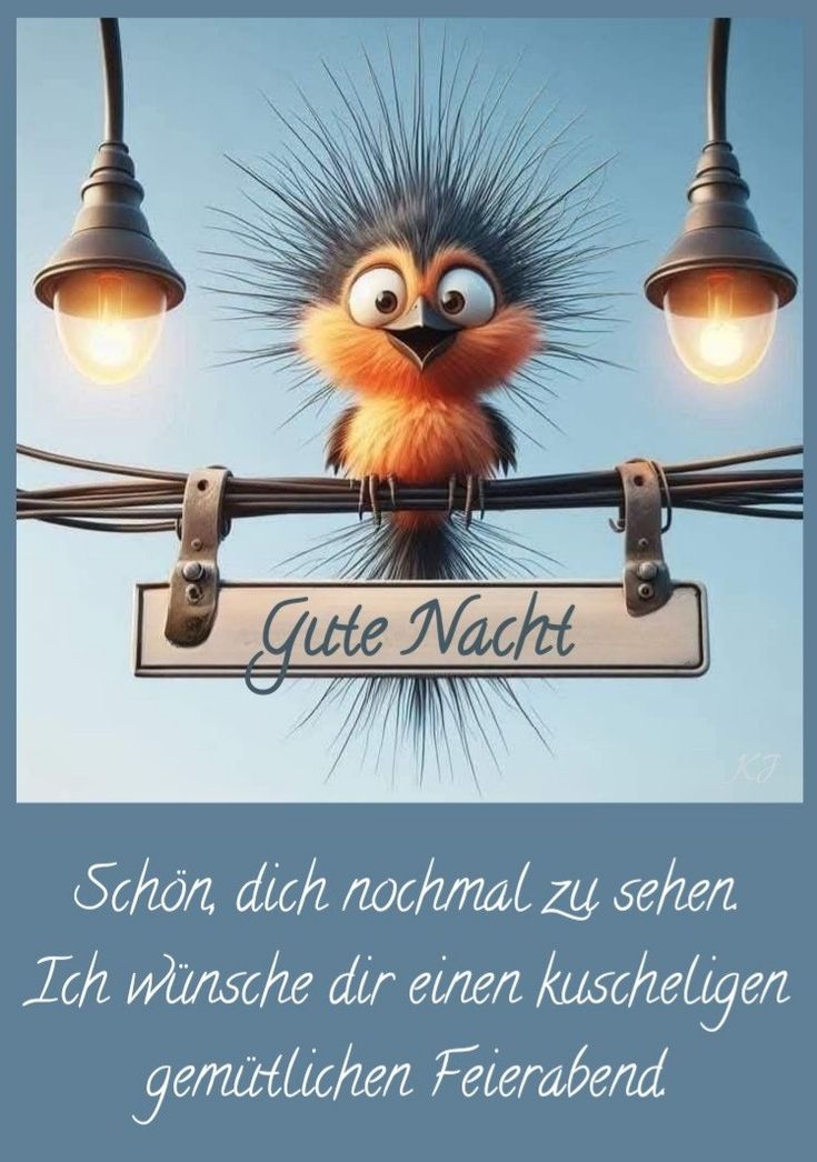 Lustige Gute Nacht Bilder 119