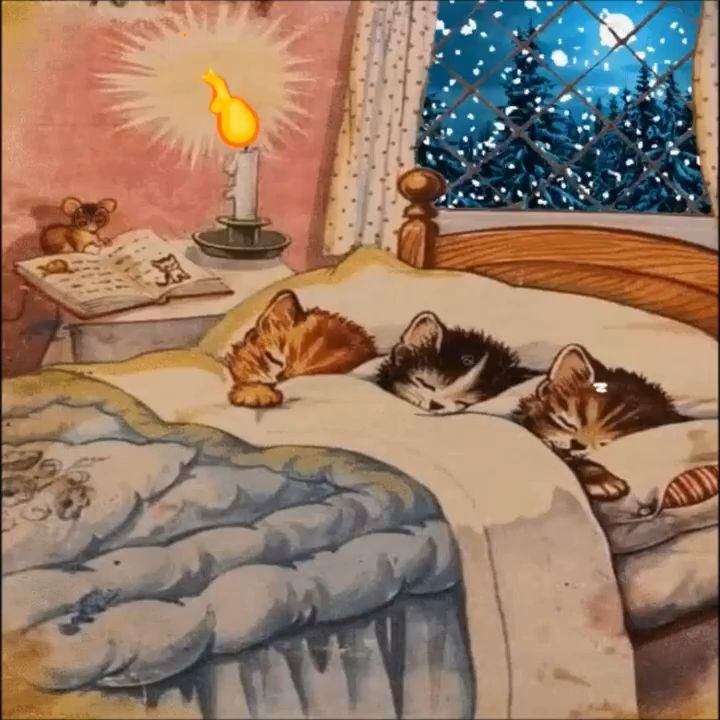 Lustige Gute Nacht Bilder 126