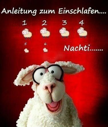 Lustige Gute Nacht Bilder 129