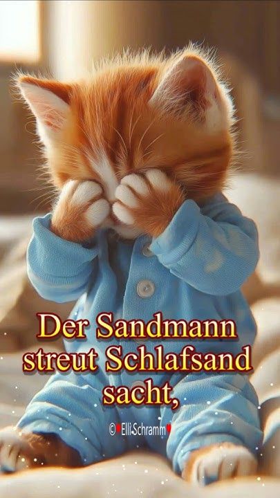 Lustige Gute Nacht Bilder 134