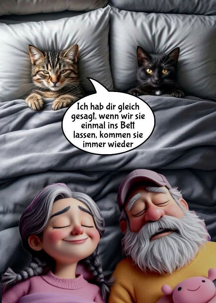 Lustige Gute Nacht Bilder 146