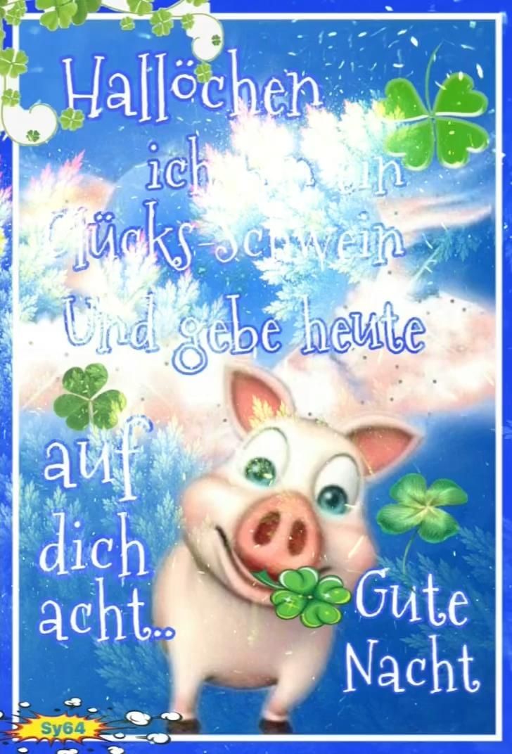 Lustige Gute Nacht Bilder 148