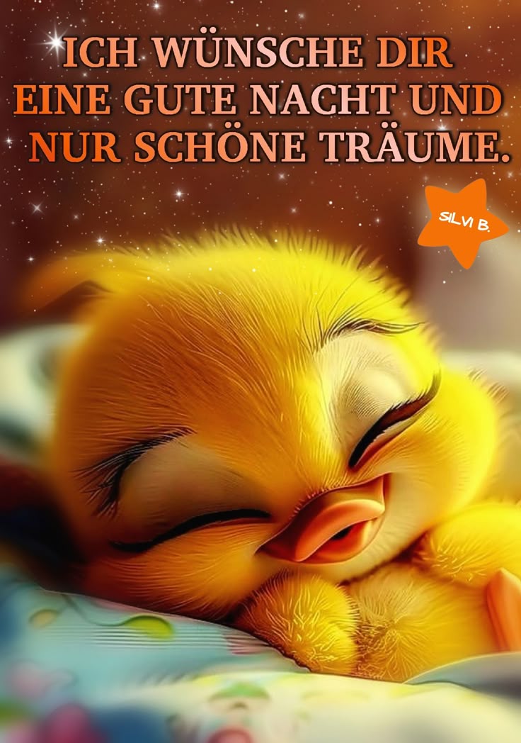 Lustige Gute Nacht Bilder 149