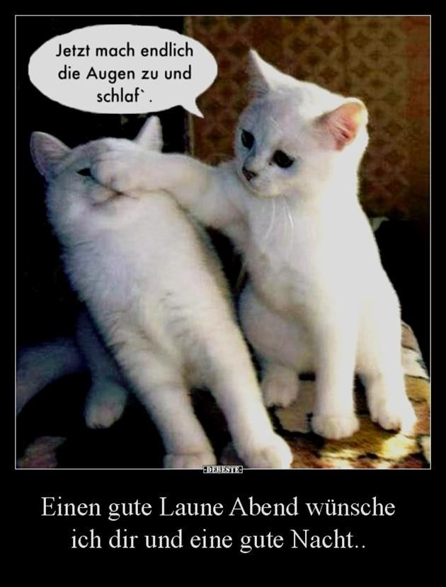 Lustige Gute Nacht Bilder 150