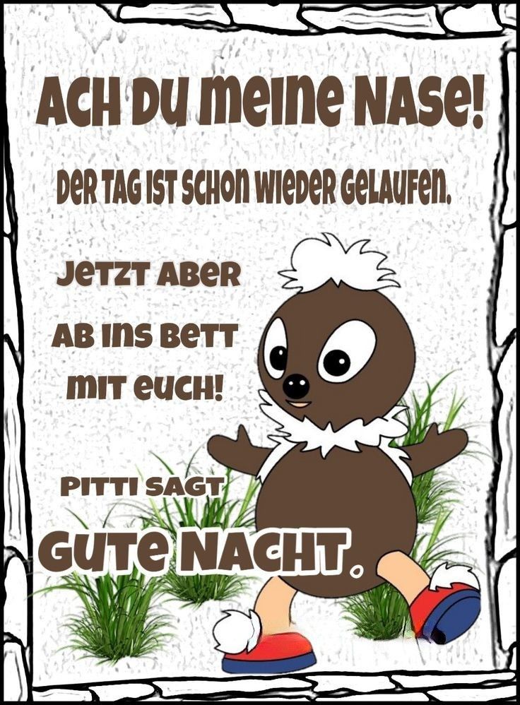 Lustige Gute Nacht Bilder 17