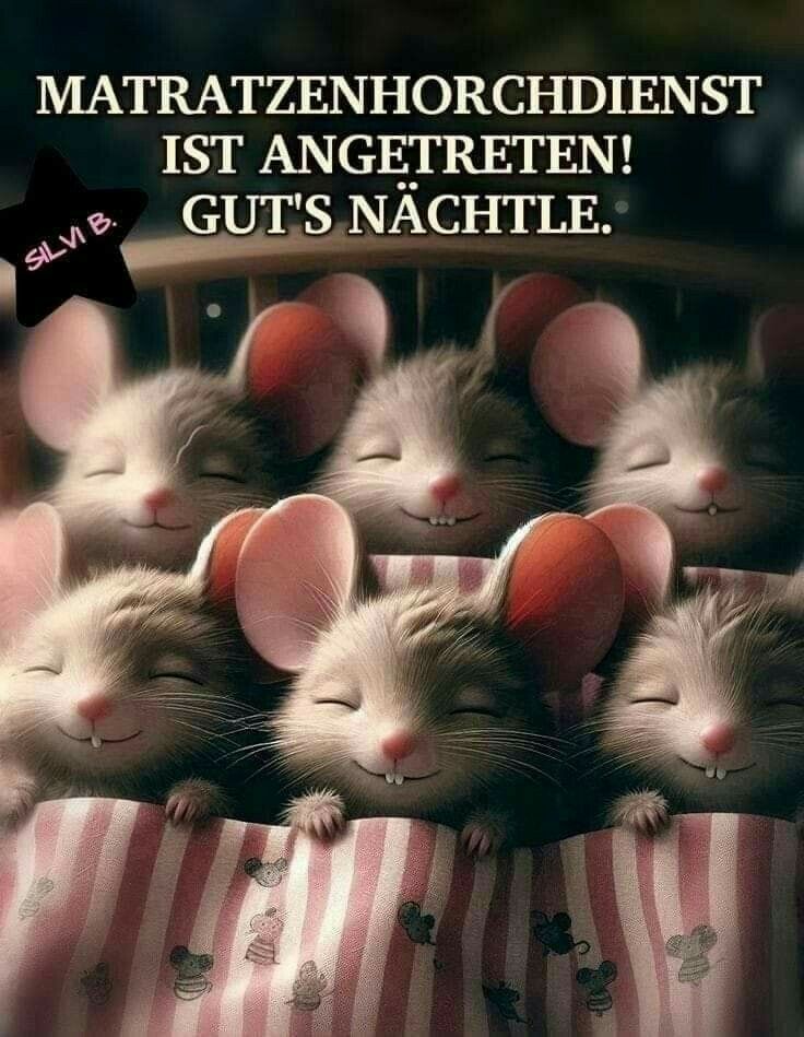 Lustige Gute Nacht Bilder 21