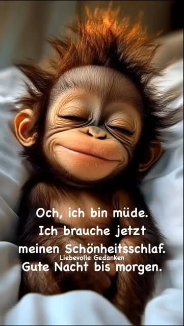 Lustige Gute Nacht Bilder 28