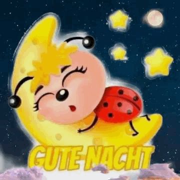 Lustige Gute Nacht Bilder 37
