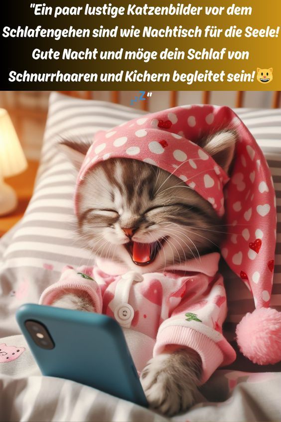 Lustige Gute Nacht Bilder 42
