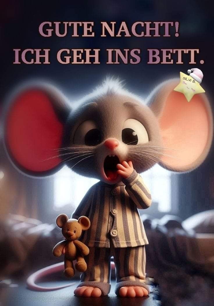 Lustige Gute Nacht Bilder 45