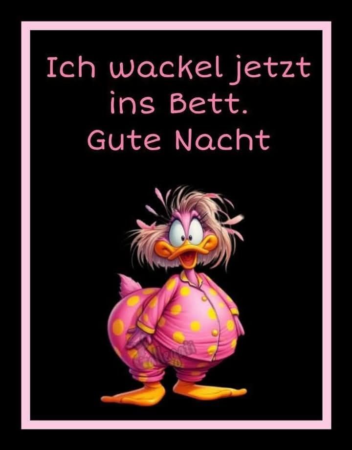 Lustige Gute Nacht Bilder 55