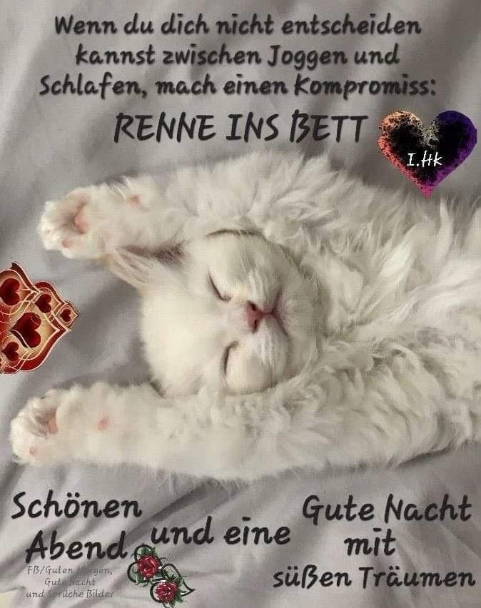 Lustige Gute Nacht Bilder 59