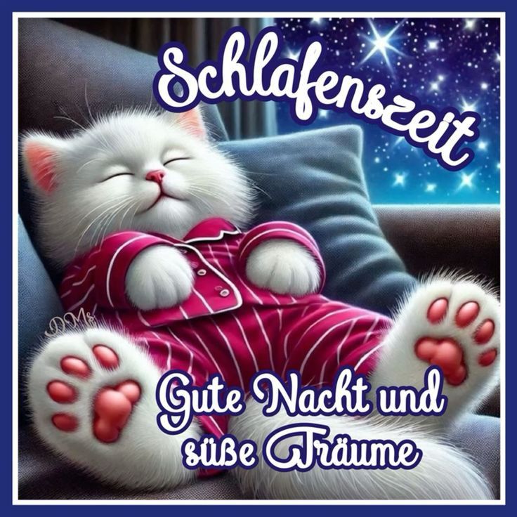 Lustige Gute Nacht Bilder 6