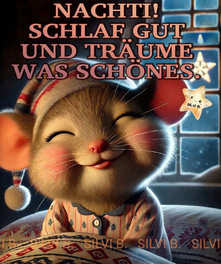 Lustige Gute Nacht Bilder 60