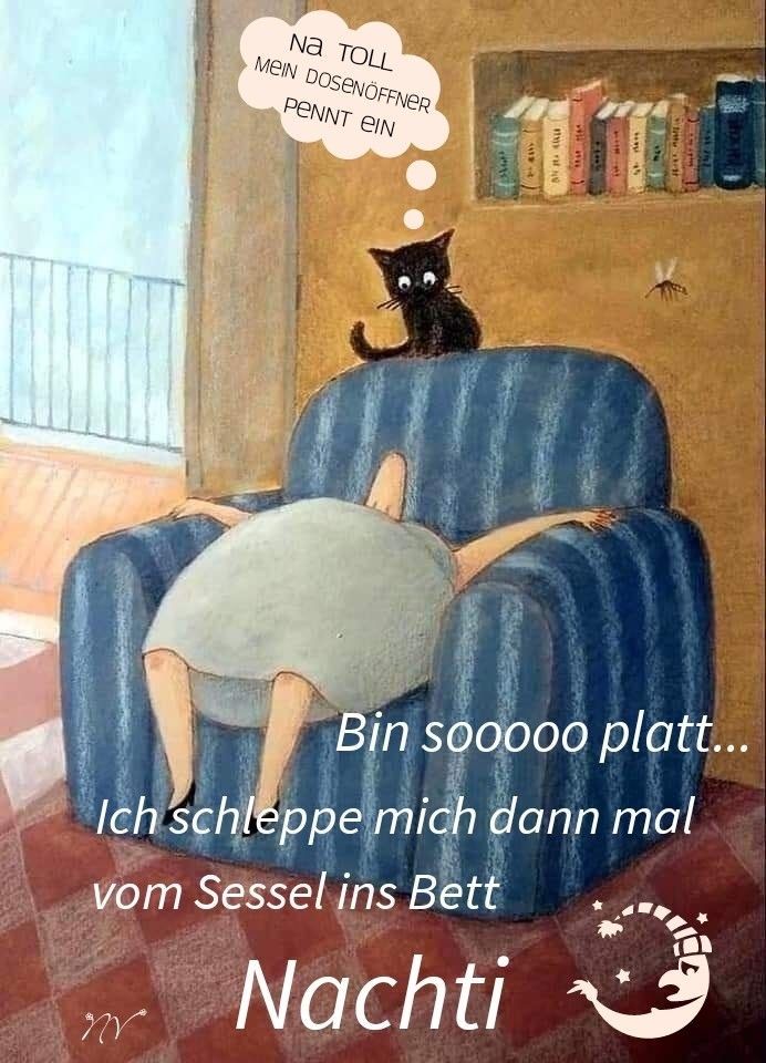 Lustige Gute Nacht Bilder 71