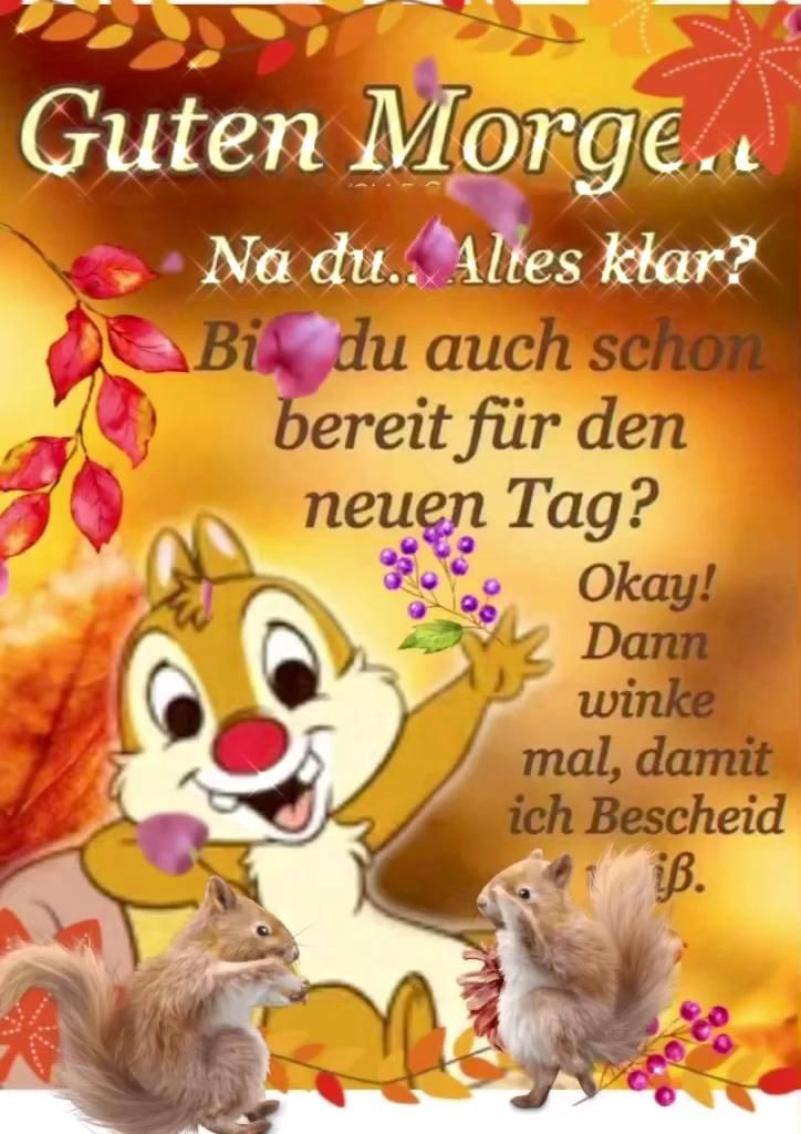 Lustige Guten Morgen Bilder 10
