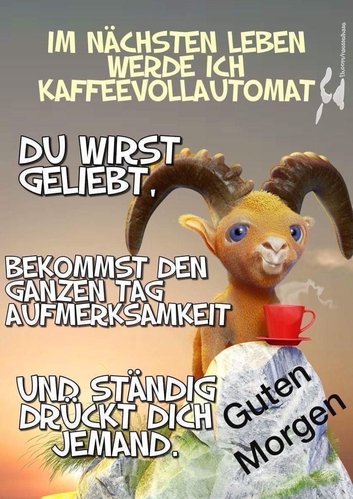 Lustige Guten Morgen Bilder 105