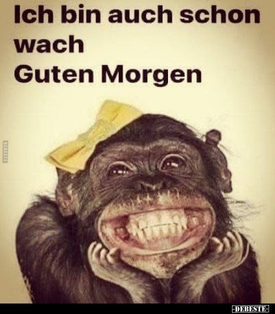 Lustige Guten Morgen Bilder 136