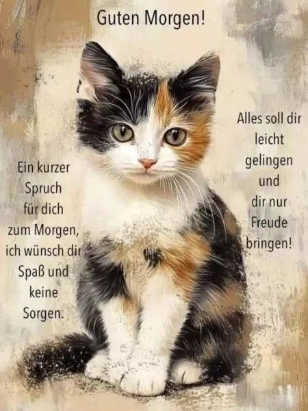 Lustige Guten Morgen Bilder 141