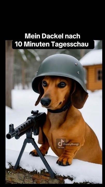 Lustige Guten Morgen Bilder 145