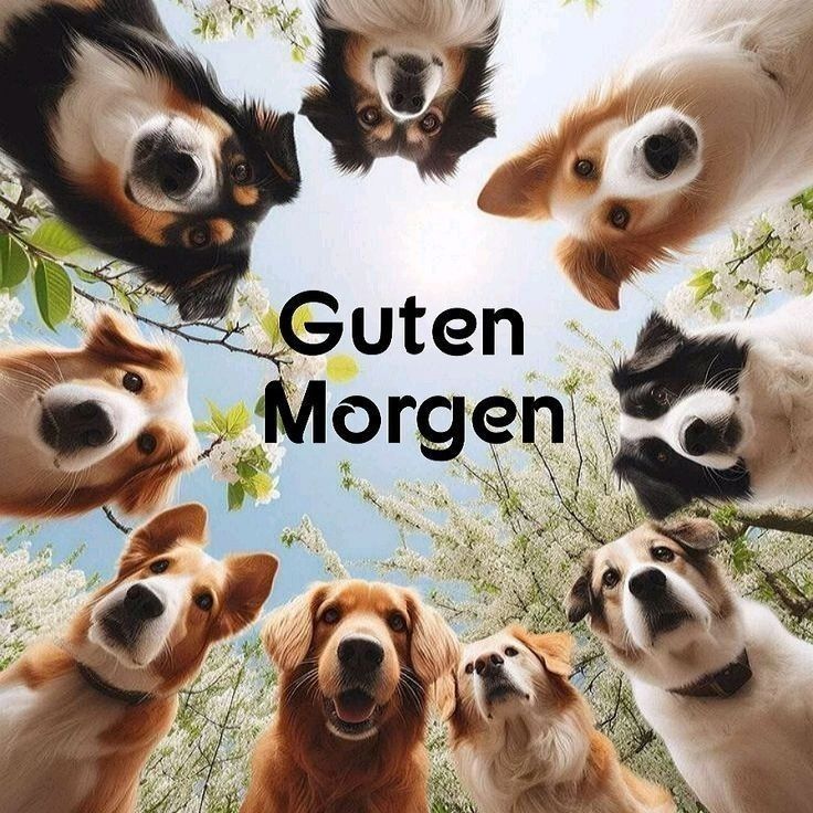 Lustige Guten Morgen Bilder 16