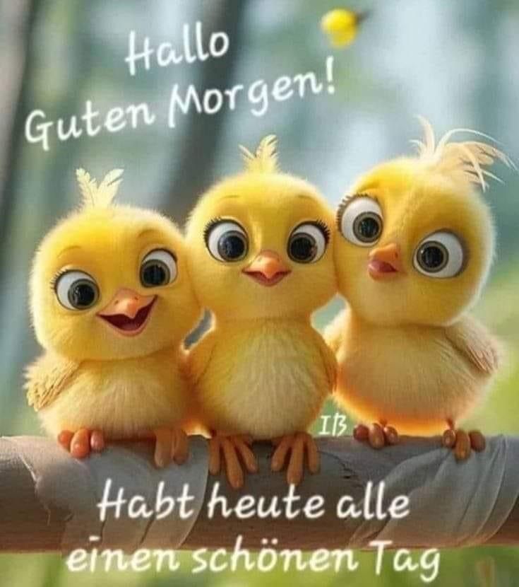 Lustige Guten Morgen Bilder 38
