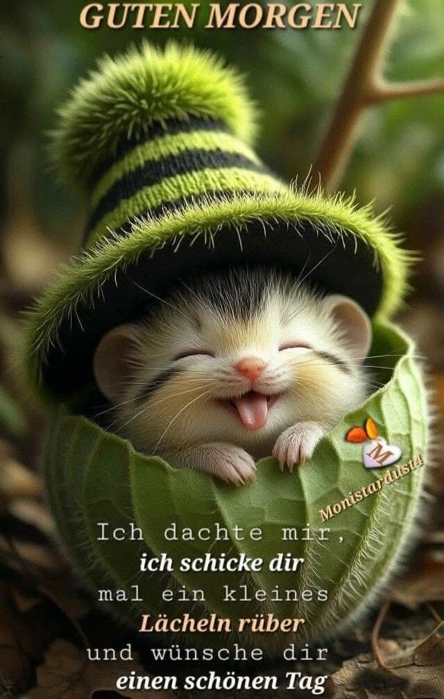 Lustige Guten Morgen Bilder 4