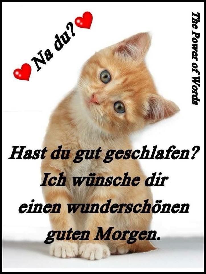 Lustige Guten Morgen Bilder 48