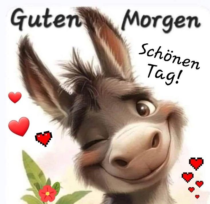 Lustige Guten Morgen Bilder 50
