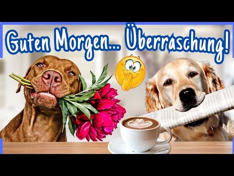 Lustige Guten Morgen Bilder 82