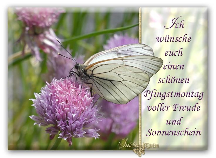 Pfingsten Bilder Kostenlos 10
