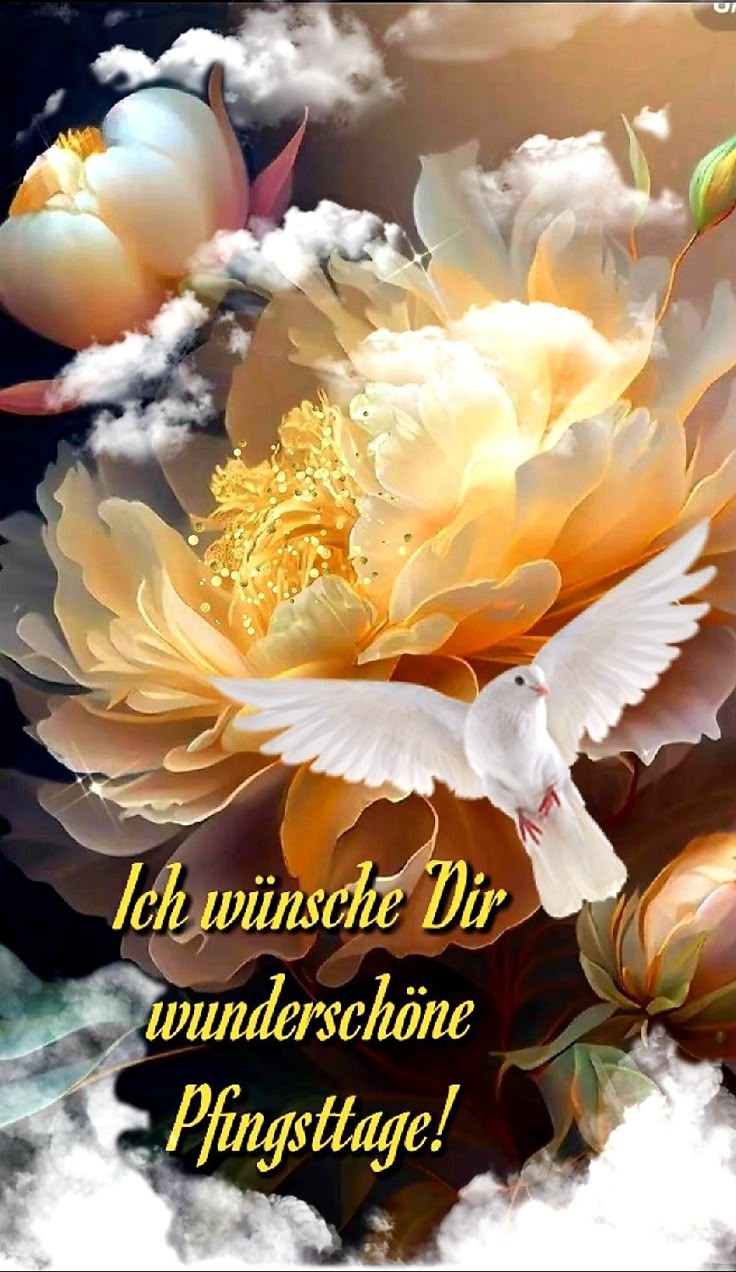 Pfingsten Bilder Kostenlos 100