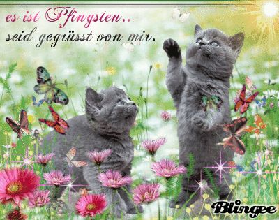 Pfingsten Bilder Kostenlos 105