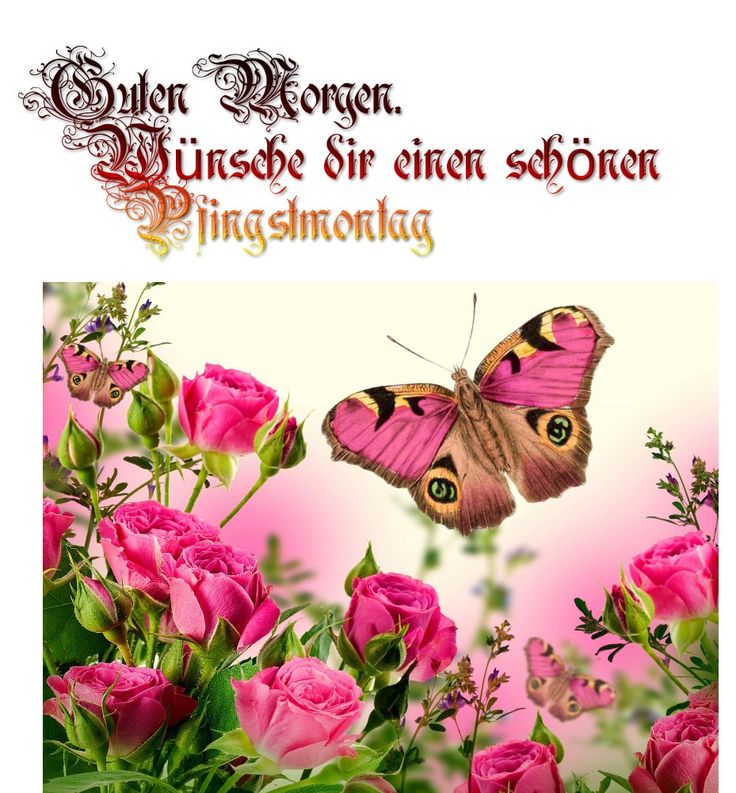 Pfingsten Bilder Kostenlos 108