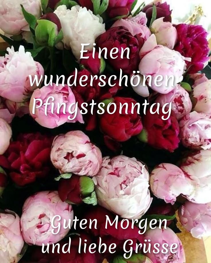 Pfingsten Bilder Kostenlos 110