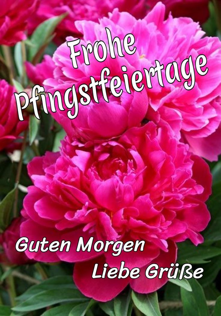 Pfingsten Bilder Kostenlos 113