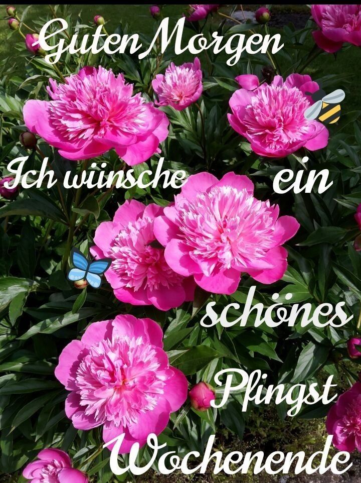 Pfingsten Bilder Kostenlos 120
