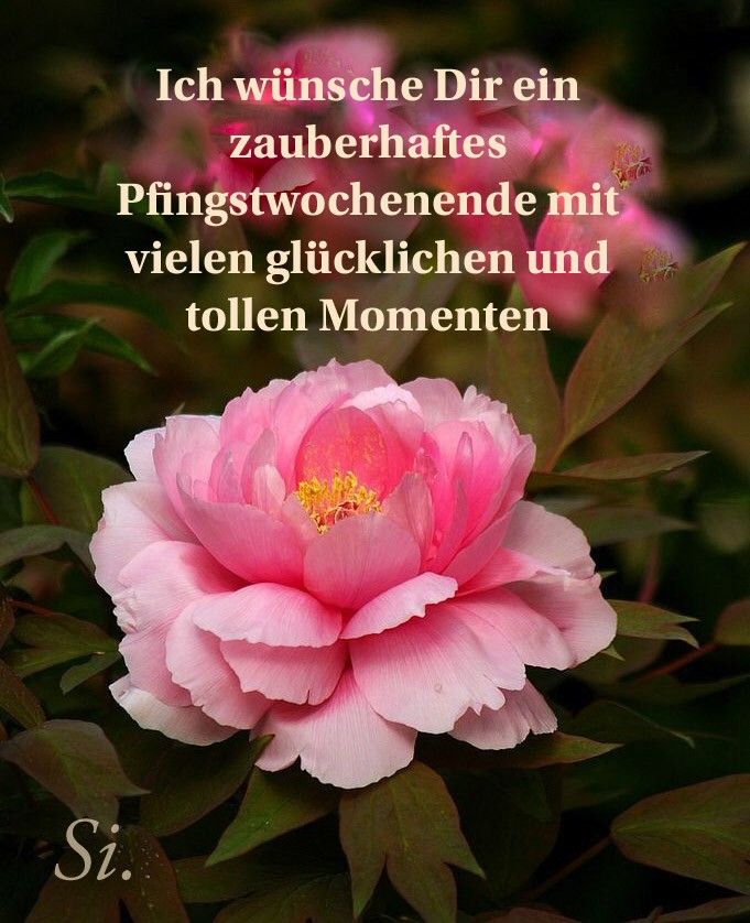 Pfingsten Bilder Kostenlos 122